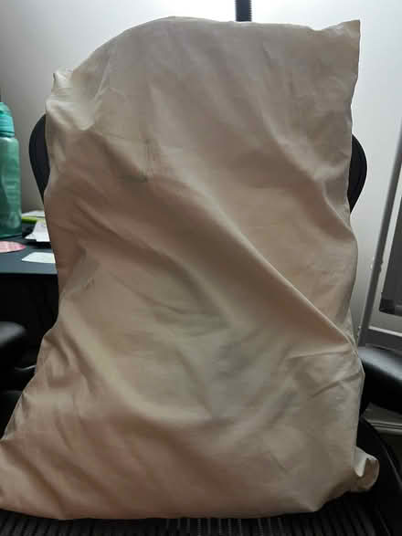Photo of free Pillow (Laurel) #1