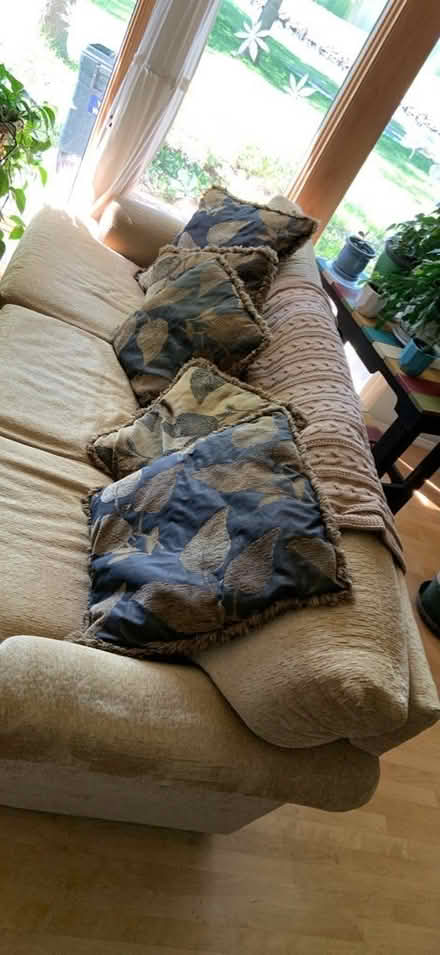 Photo of free Comfy brown couch (Chesterfield) #3
