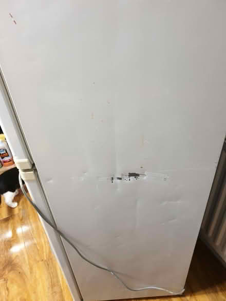 Photo of free Bush fridge freezer (PO11 hayling island) #4