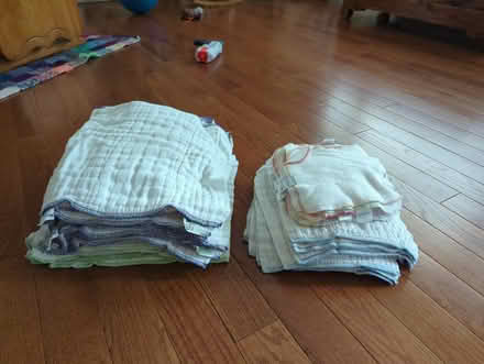 Photo of free Cloth diaper inserts (Barrington) #1