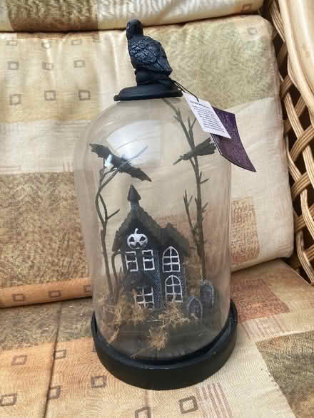 Photo of free Halloween dome (Lancing BN15) #1