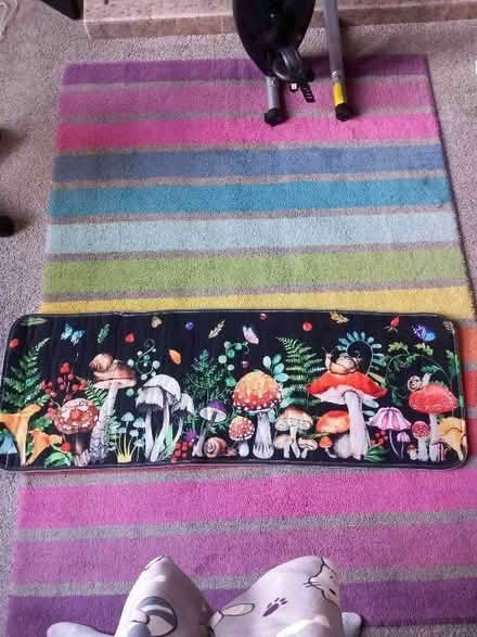 Photo of free Mushroom Mat/Rug/Runner (Hove Edge HD6) #1