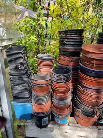 Photo of free Assorted plastic plant pots & seed trays (Hutton le Hole YO62) #1