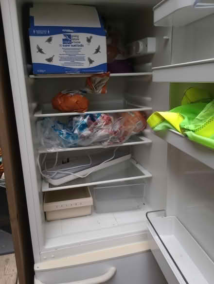 Photo of free Fridge freezer (Malmesbury SN16) #3