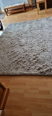 Photo of free Large living room rug size on photograph (Loughborough LE11) #3