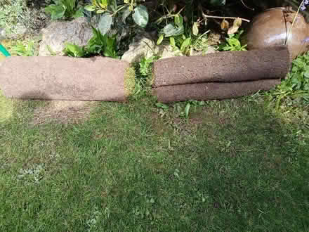 Photo of free Turf (Bolton le Sands LA5) #1