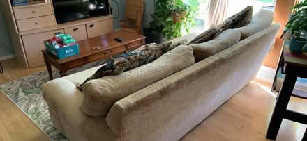 Photo of free Comfy brown couch (Chesterfield) #2