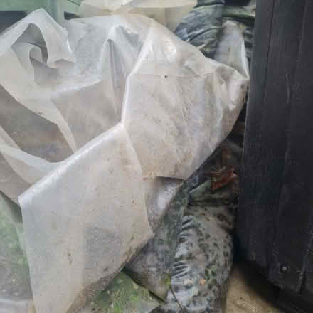 Photo of free top soil (Wildridings RG12) #2