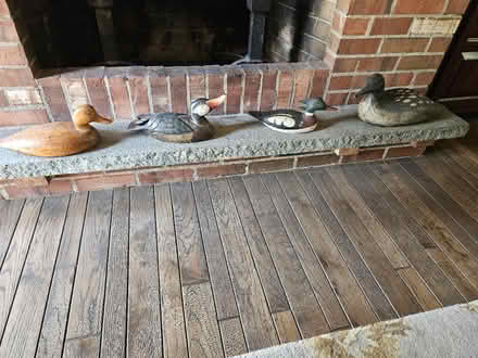 Photo of free Duck decoys (Pine Bush) #1