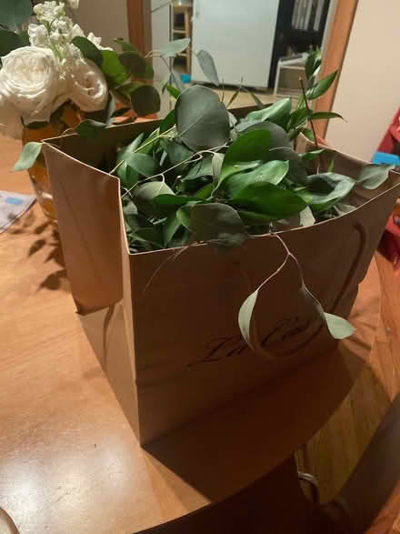 Photo of free Bouquet greenery (Etobicoke South (Etobicoke South (Mimico)) #2