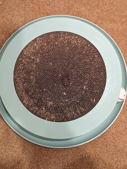 Photo of free Cat toy ball tracker (Lake City/Cedar Park) #1