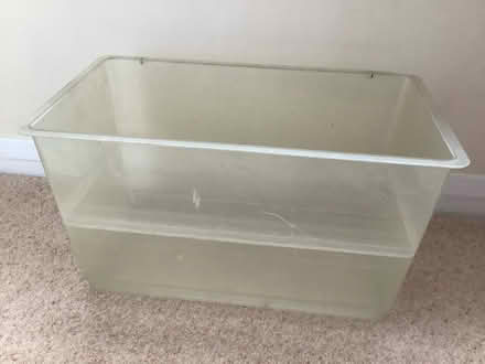 Photo of free Terrarium Tank maybe (Longwell Green, Bristol) #1