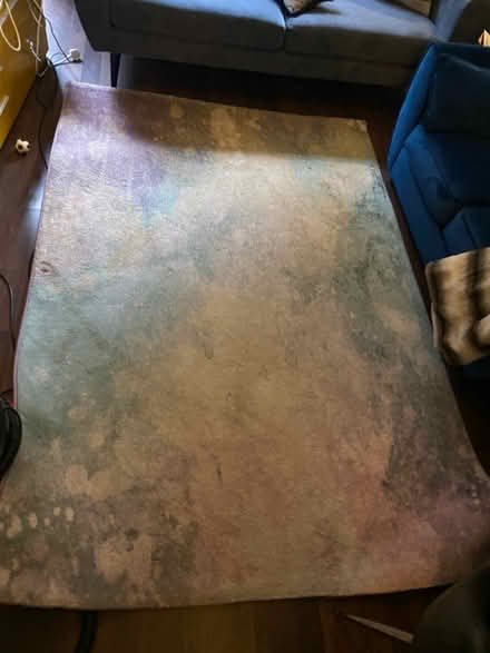 Photo of free Rug 160cm x 260cm (CM23) #1