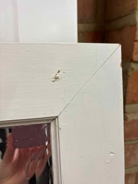 Photo of free Tall mirror (Surrey KT10) #2