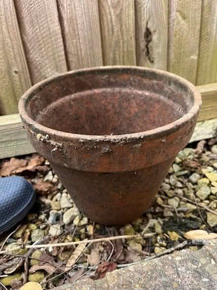Photo of free Single 8inch terracotta plant pot (Denvilles PO9) #1