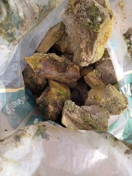 Photo of free Hardcore (Bagged) (East Hoathly BN8) #3