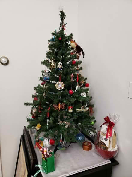 Photo of free 4 ft Christmas tree (Petworth) #1