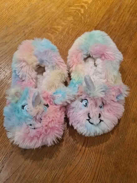 Photo of free Slippers (Widford CM1) #1