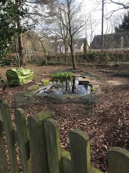 Photo of Fairy items wanted and wood chip (Norwich . NR6) #1