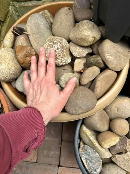 Photo of free Landscaping Stones (Molesey KT8) #3