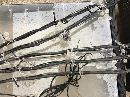 Photo of free Decorative Lights (DE21) #2