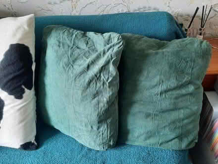 Photo of free Pillows with green pillowcases (Birds Marsh View, SN15) #1