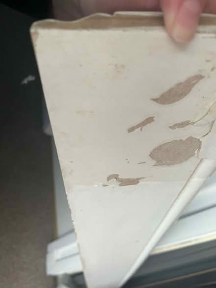 Photo of free Wood selection (Bedford MK40) #2