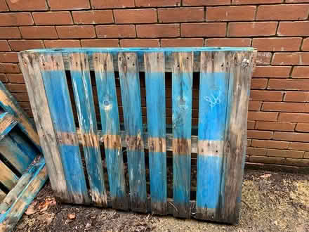Photo of free Pallets (Crouch End N8)