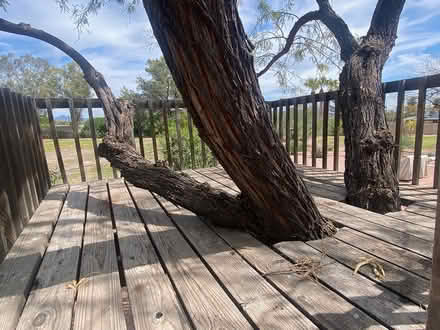 Photo of free Redwood tree platform- disassembled (Just north of Old Scottsdale) #2