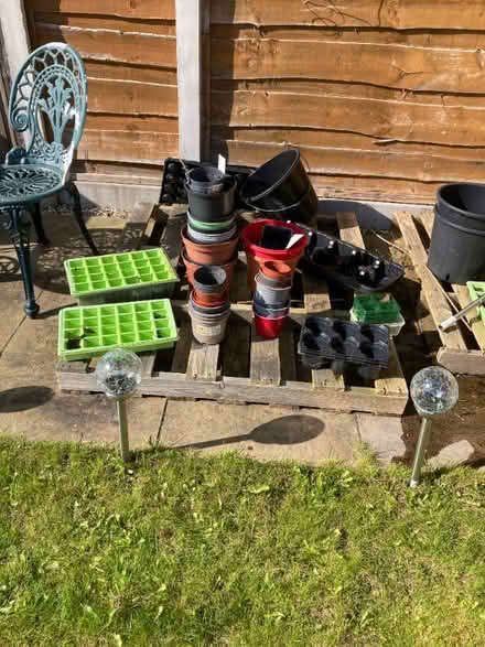 Photo of free Plastic Plant Pots & Seed Trays (Timperley WA15) #1