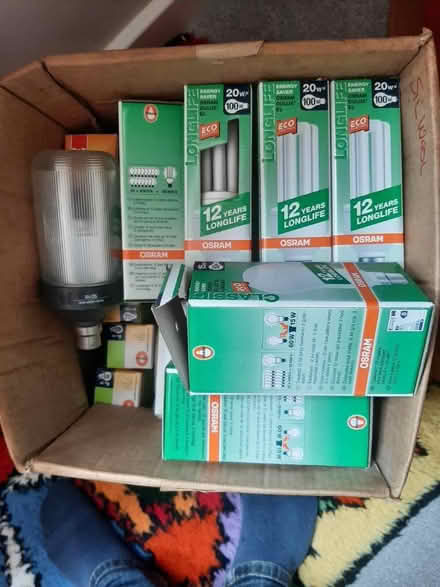 Photo of free Energy Saving Bulbs (Birds Marsh View, SN15) #2
