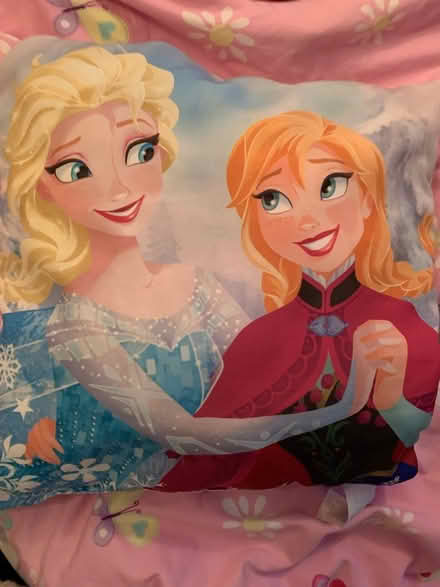 Photo of free Disney frozen cushion (Kings norton) #1