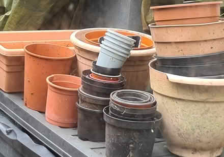 Photo of free Plastic plant pots (St Just TR19) #1