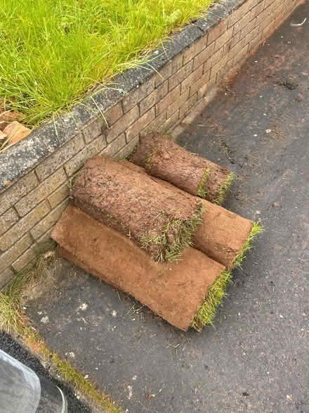 Photo of free Turf (Kidderminster) #1