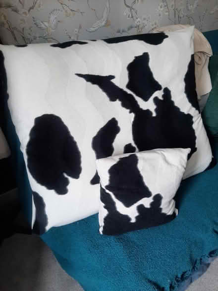 Photo of free Cow patterned pillows (Birds Marsh View, SN15) #1