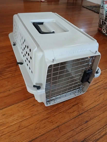 Photo of free Cat Carrier (Ball Square) #1