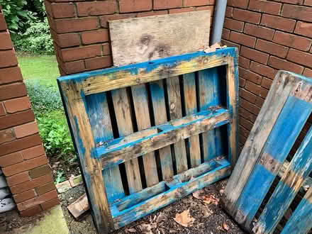 Photo of free Pallets (Crouch End N8)