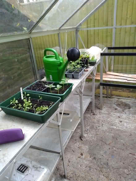 Photo of free Metal greenhouse staging (Benson OX10) #1