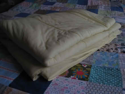 Photo of free Single duvet (Longley Green WR13) #2