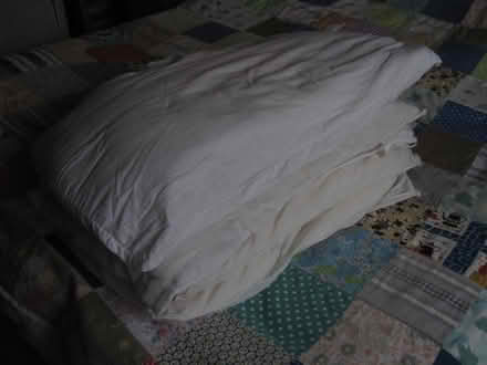 Photo of free Pillows (Longley Green WR13) #1