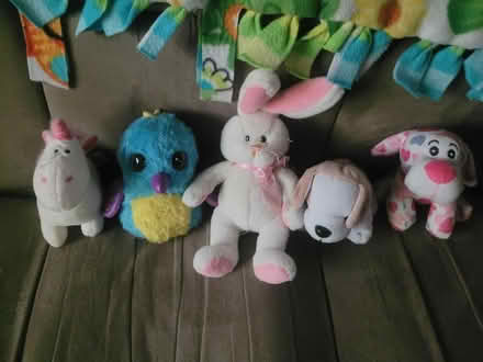 Photo of free Stuffed animals (Montclair) #1