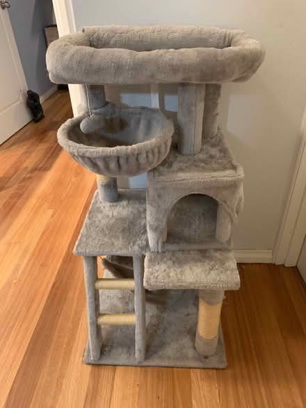 Photo of free Cat furniture (Waverton) #1
