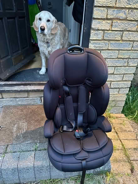 Photo of free Basic Halford Toddler Car Seat (Welwyn, AL6) #1
