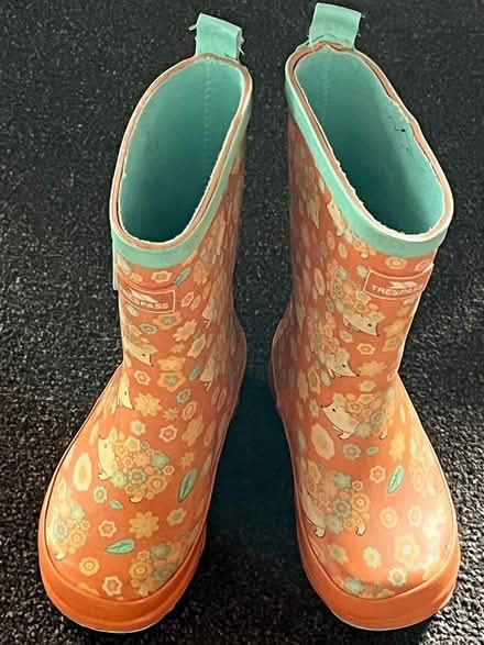 Photo of free Kids wellies very good condition (LE67 Markfield) #1