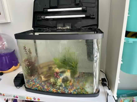 Photo of free 40L tank - empty (Bath (BA2 1 - Southdown)) #2