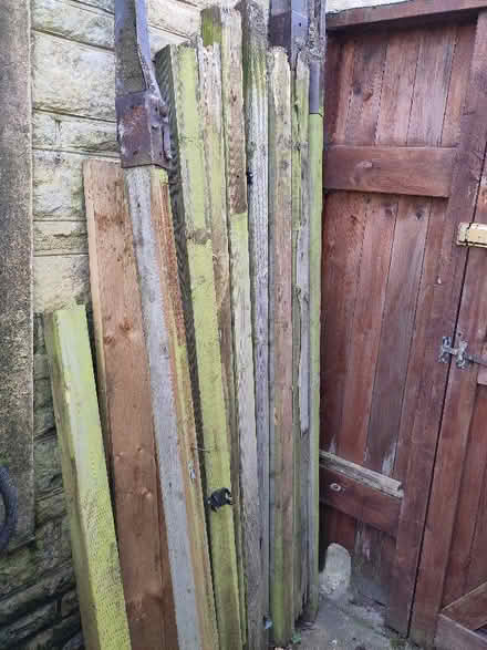 Photo of free Fence posts (Leckhampton GL53) #1