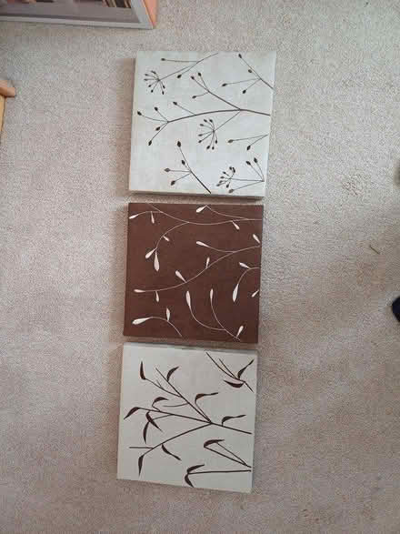 Photo of free 3 10in wall canvas (Abingdon OX14) #1