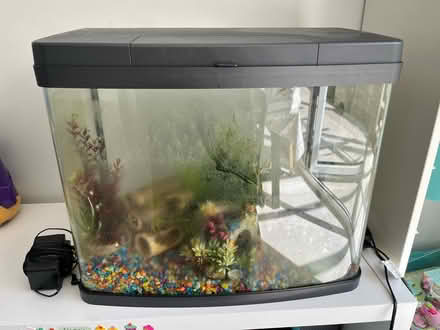 Photo of free 40L tank - empty (Bath (BA2 1 - Southdown)) #1