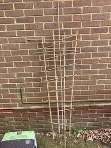 Photo of free Bamboo cane plant support (Bernards Heath AL3) #1