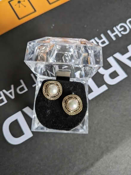 Photo of free Earings (North Tonbridge, TN10) #1